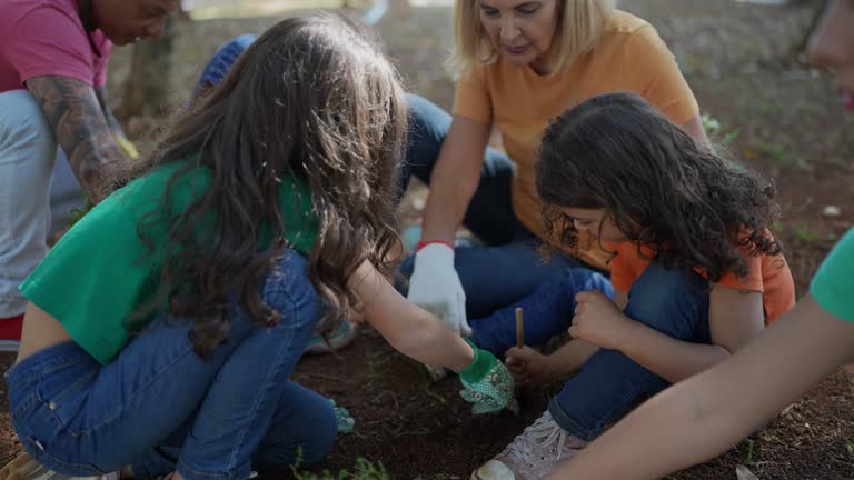 How Our Tree Care Process Works  in  Holtville, CA